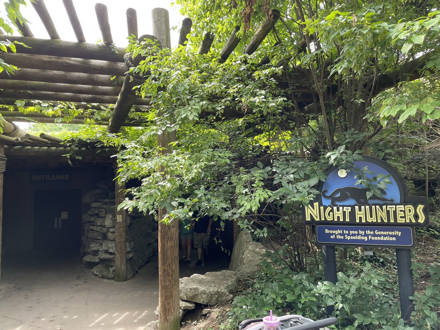 8/11/2023 - Night Hunters Entry