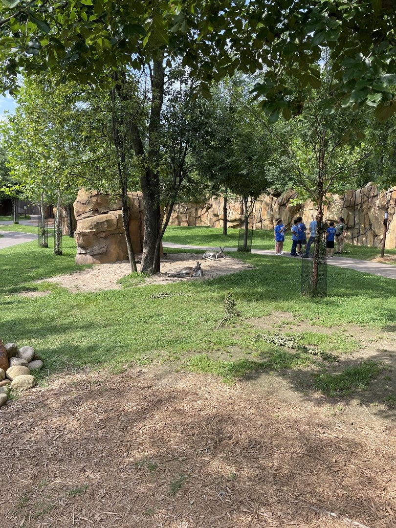 8/11/2023 - Roo Valley - General View