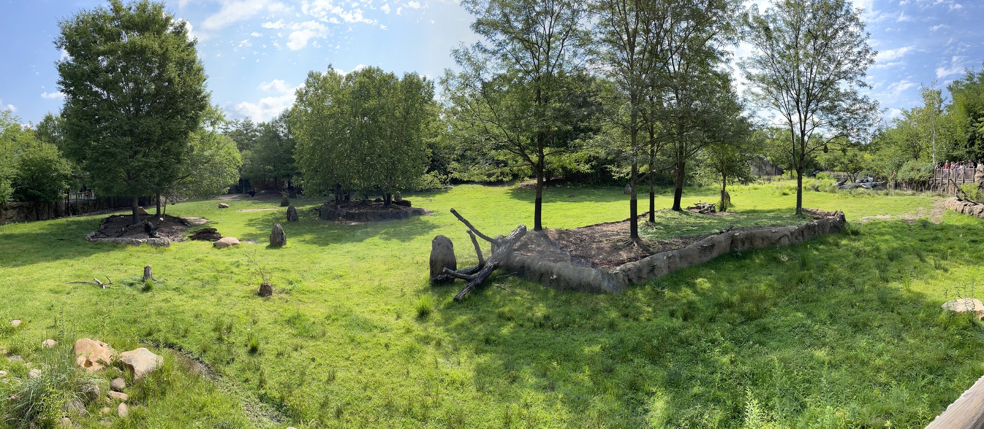 8/11/2023 - Savannah Habitat