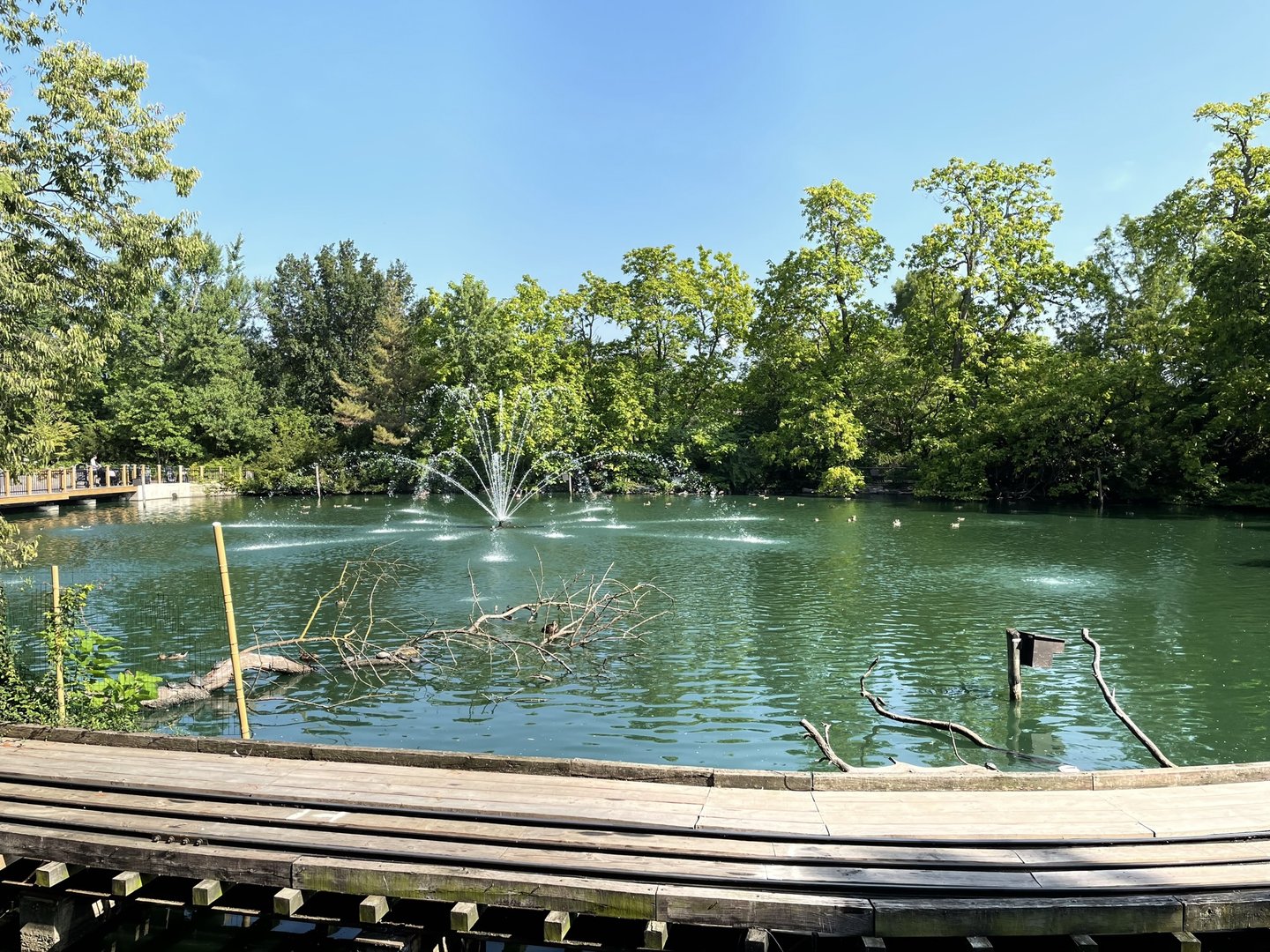 8/11/2023 - Swan Lake