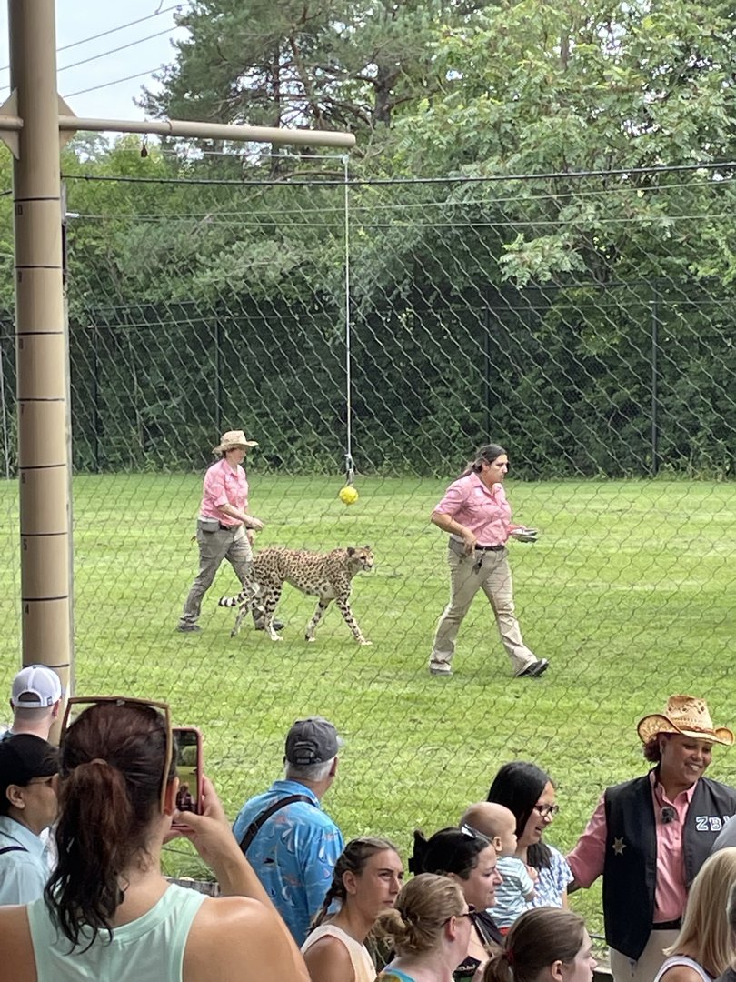 8/11/2023 - The “Culprit”