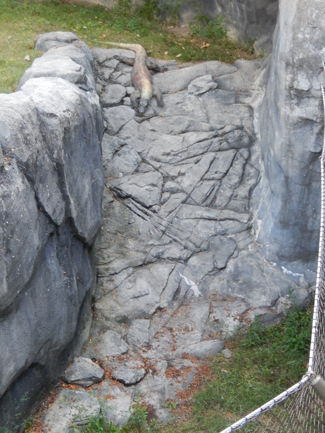 8/12/2018 - A Literal Rock Slide