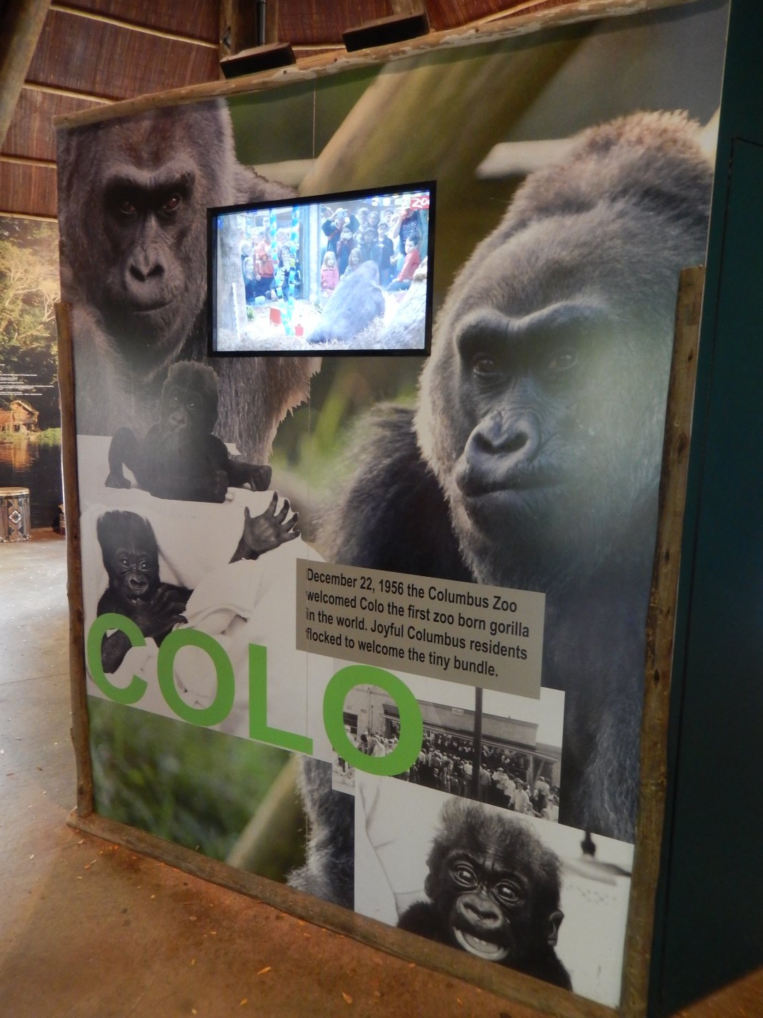 8/12/2018 - Colo Kiosk