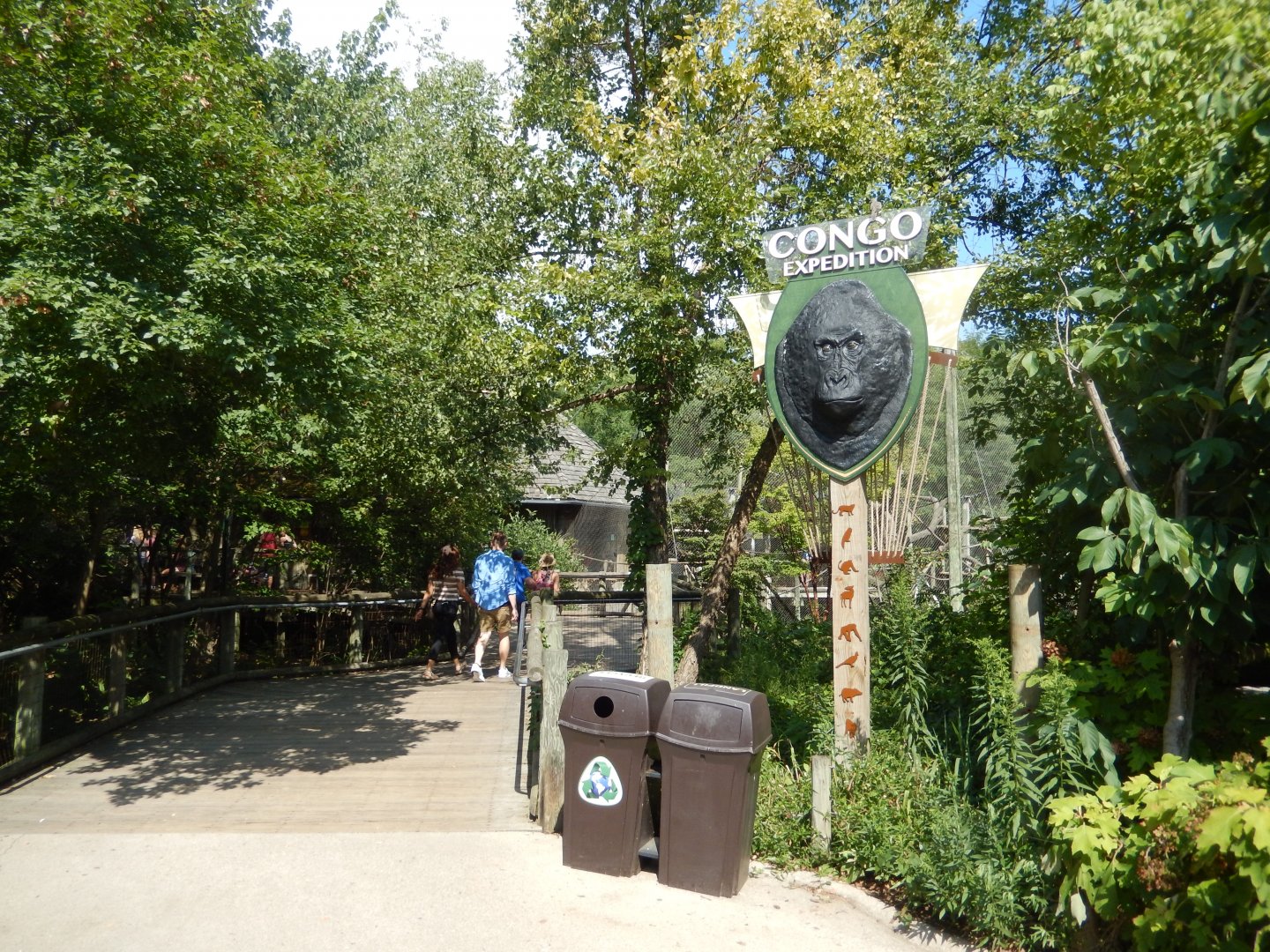 8/12/2018 - Congo Expedition Entry