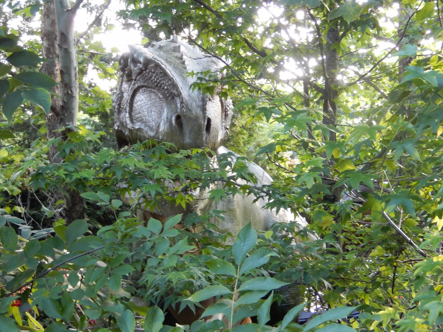 8/12/2018 - Is this Columbus Zoo, or Jurassic Park?!