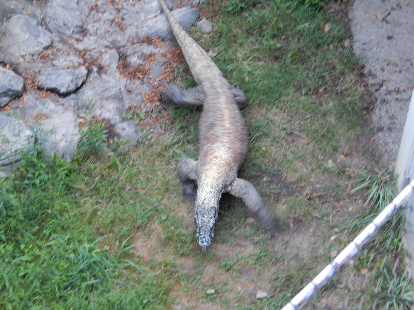 8/12/2018 - Just A Little Farther...