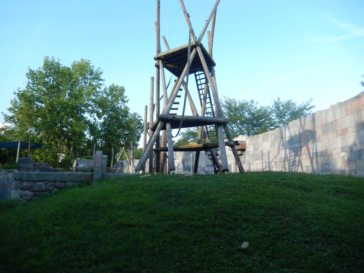 8/12/2018 - Orangutan Habitat