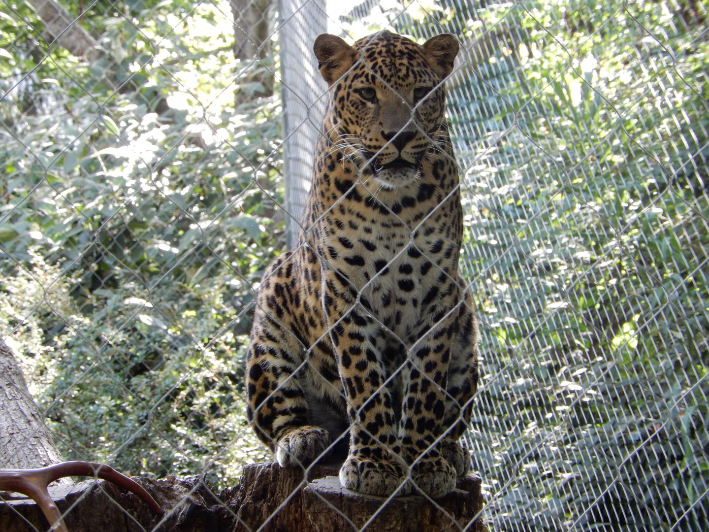 8/12/2018 - So Close, Yet So Far