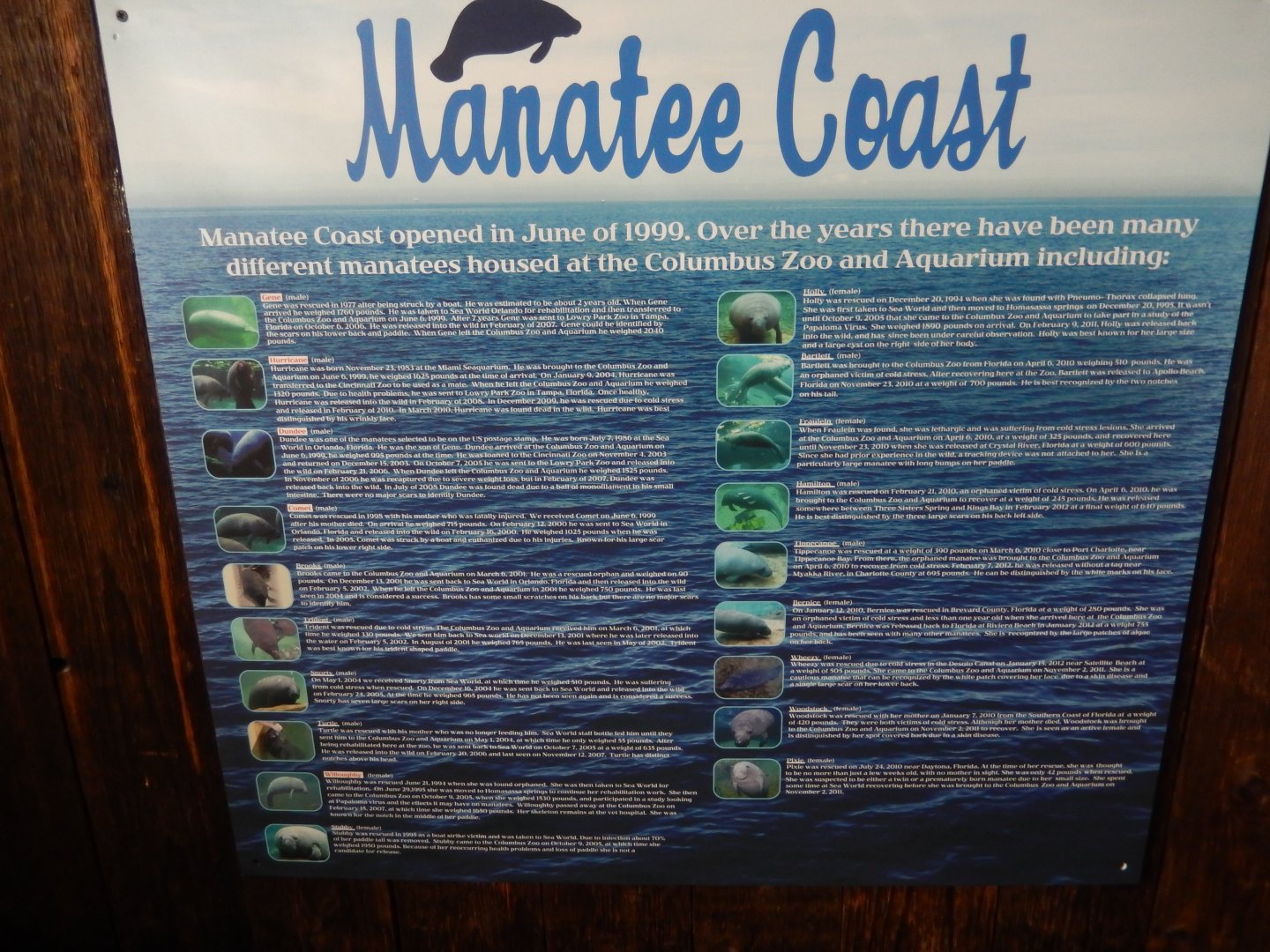 8/12/2018 - The Many Manatees Rescued