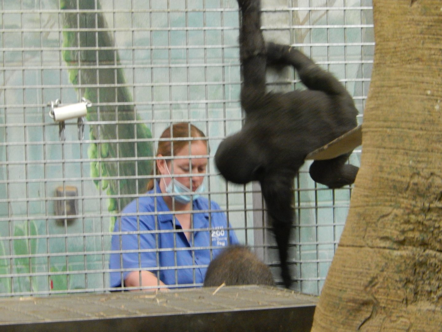 8/12/2018 - Training Zahra