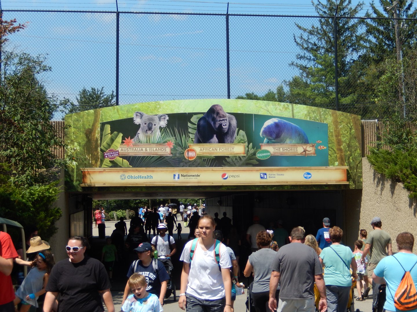 8/12/2018 - Tunnel to the Back Half