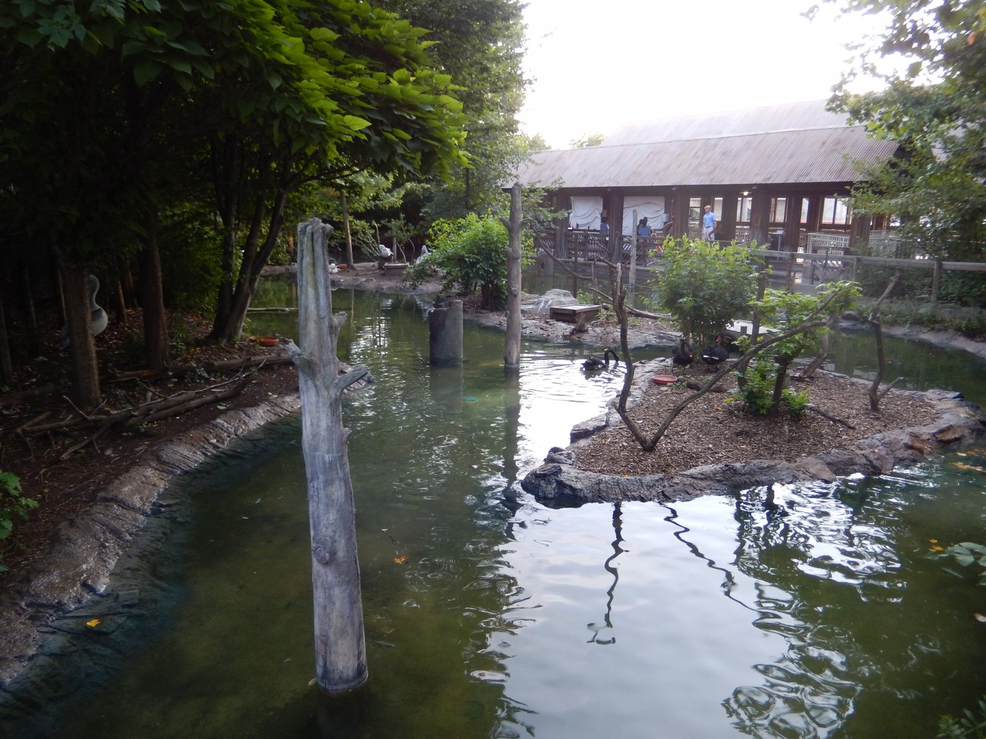 8/12/2018 - Waterfowl Pond