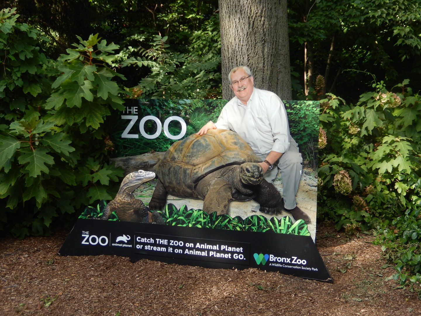 8/12/2022 - As Seen On TV!