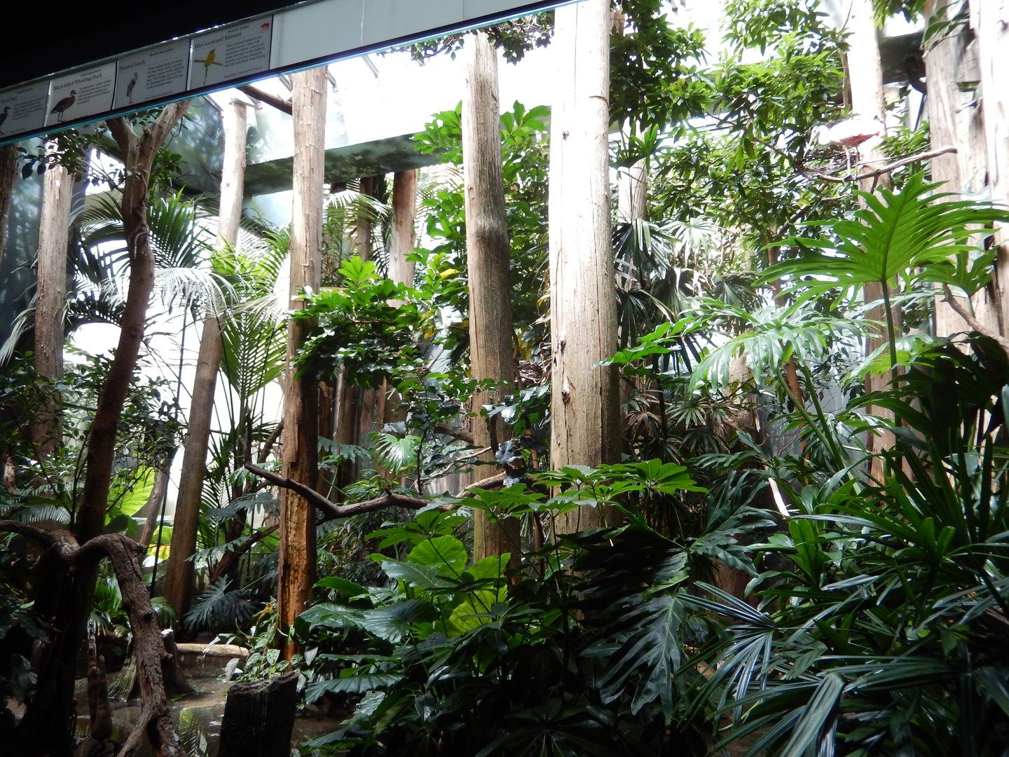 8/12/2022 - Bird Exhibit