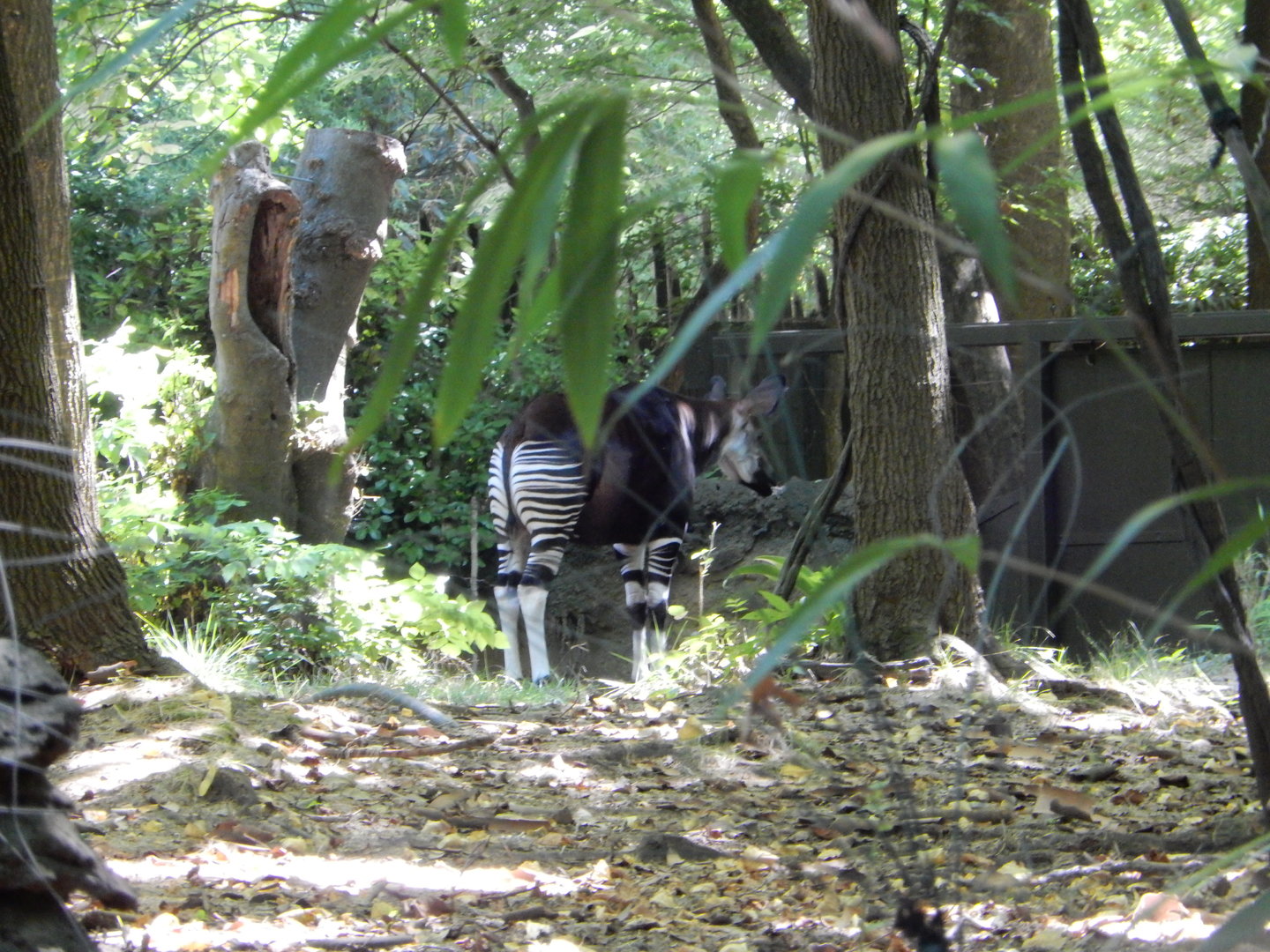 8/12/2022 - Brief Glimpses