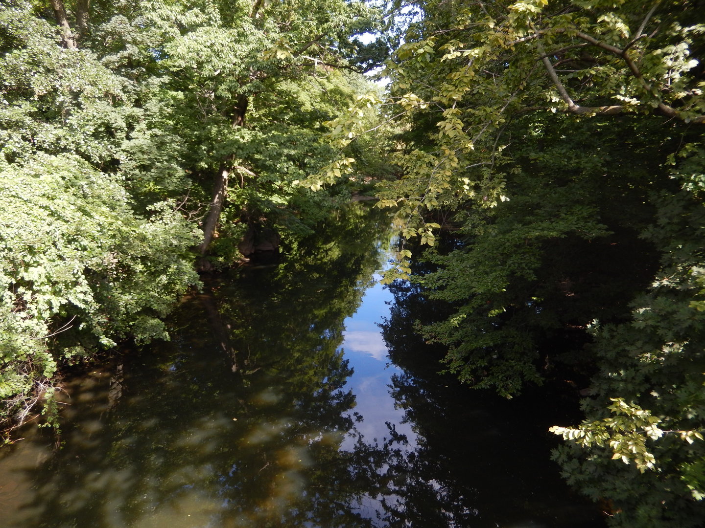 8/12/2022 - Bronx River View