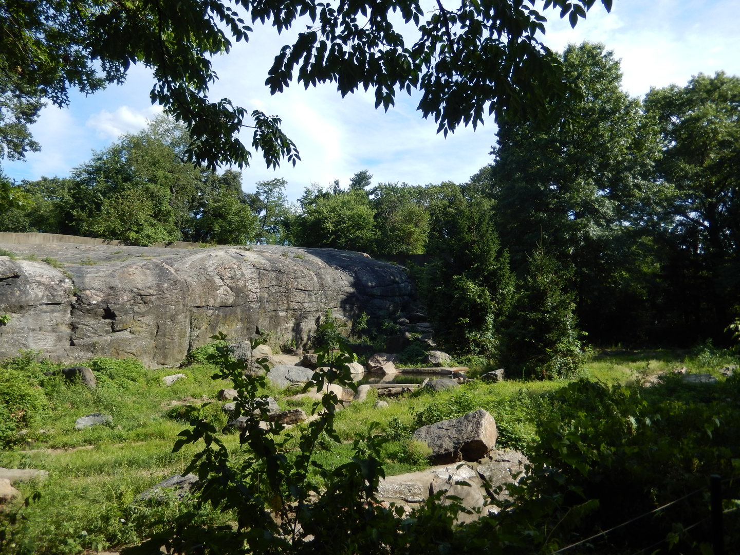 8/12/2022 - Brown Bear Exhibit