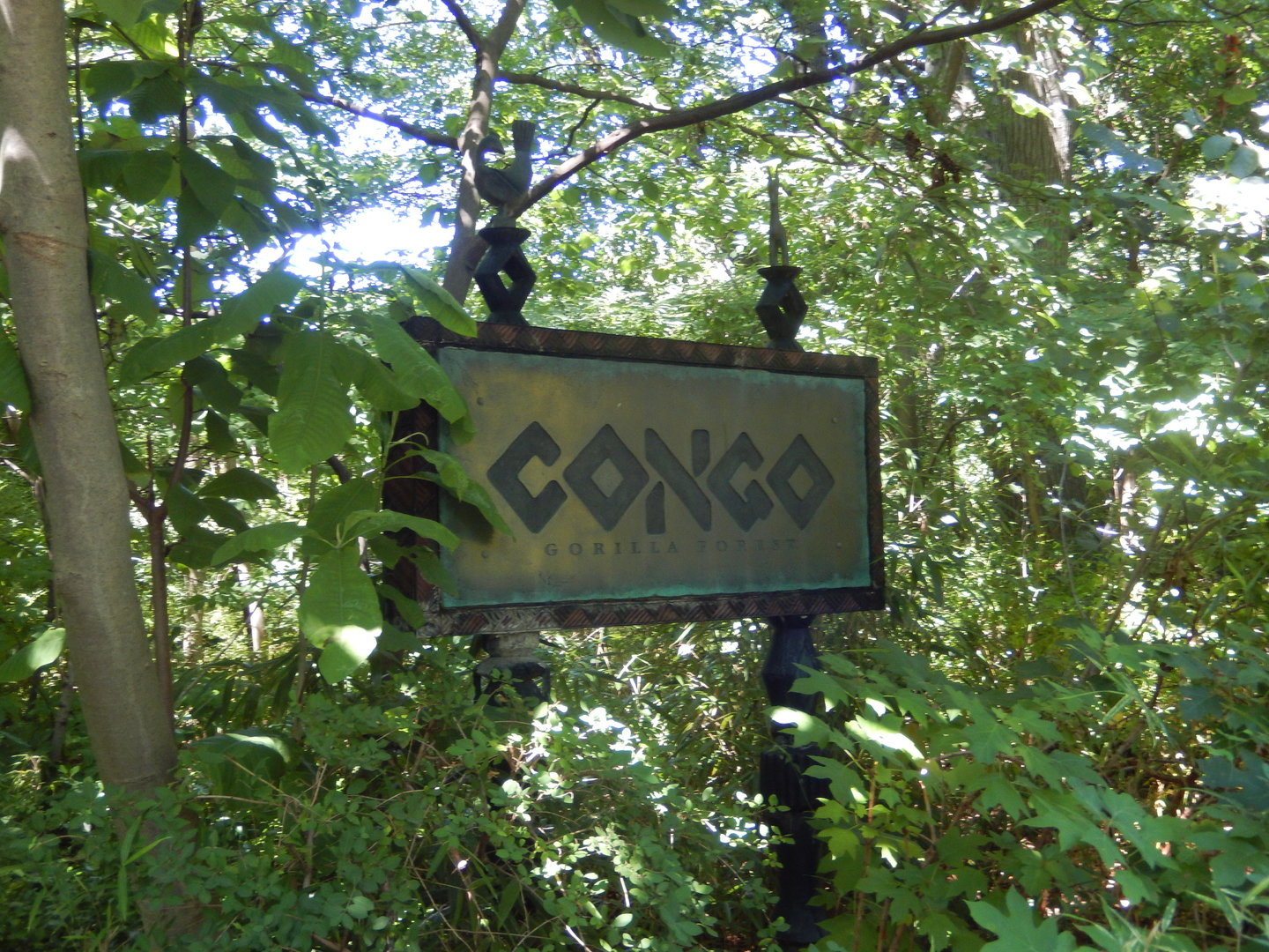 8/12/2022 - Congo Gorilla Forest Entry Sign