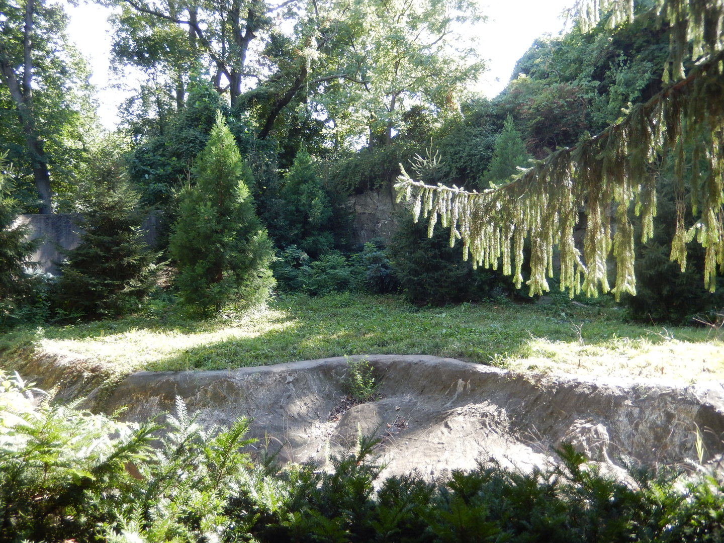 8/12/2022 - Dhole Exhibit