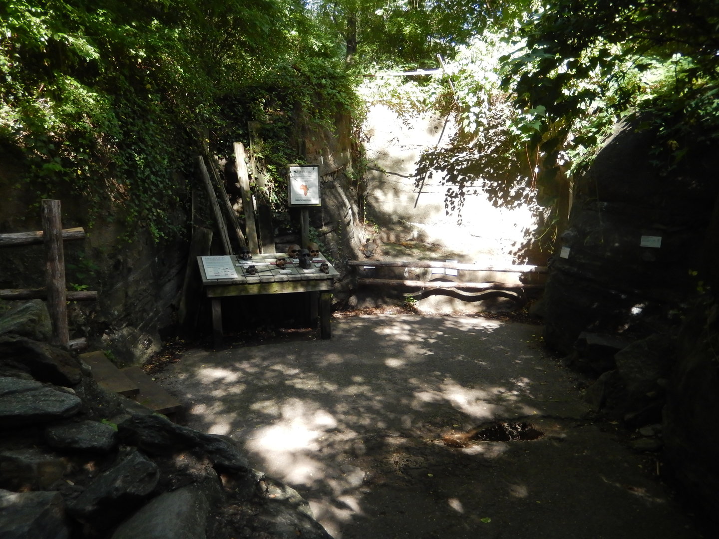 8/12/2022 - Fossil Dig Area