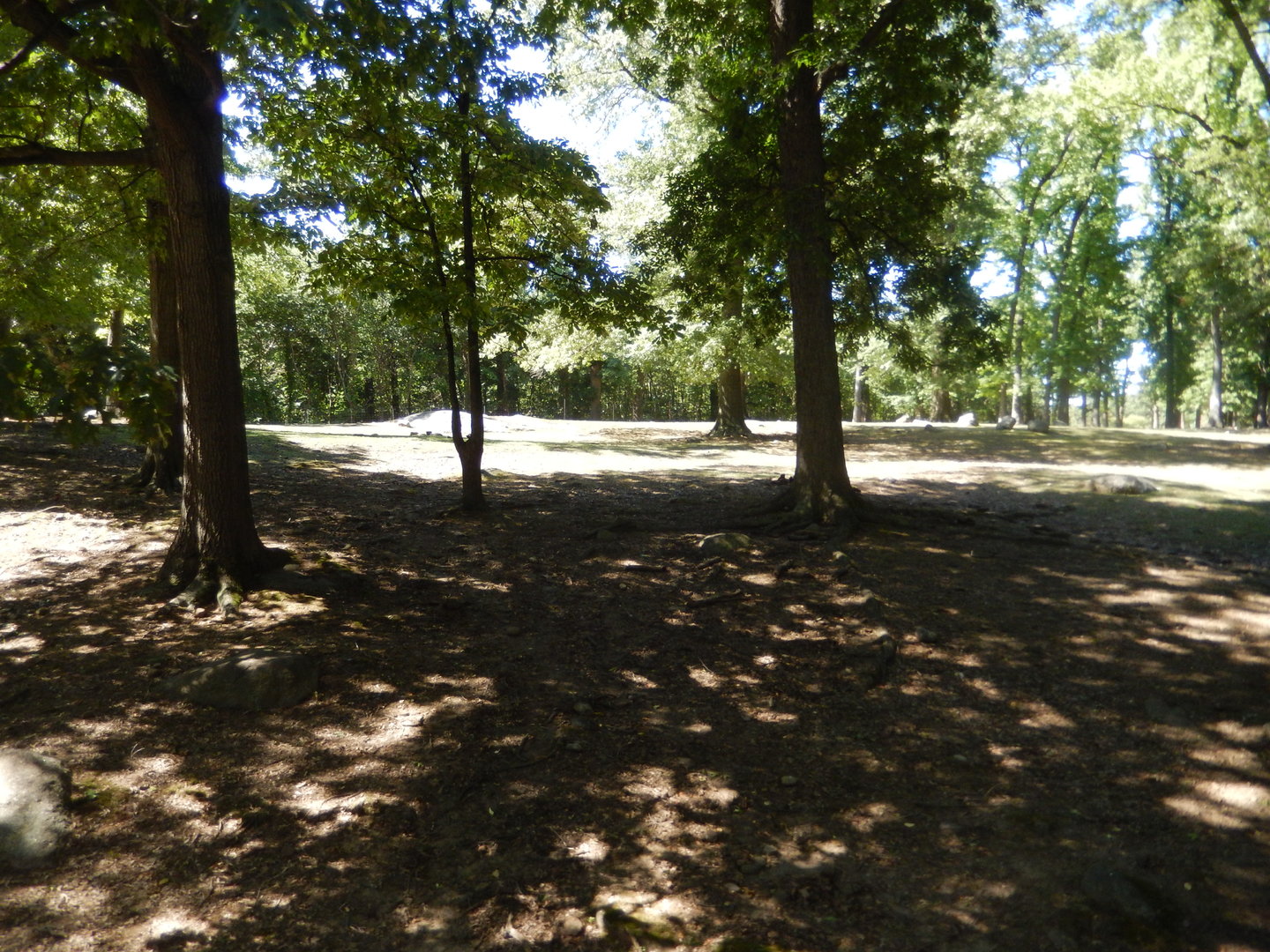 8/12/2022 - Gaur Habitat