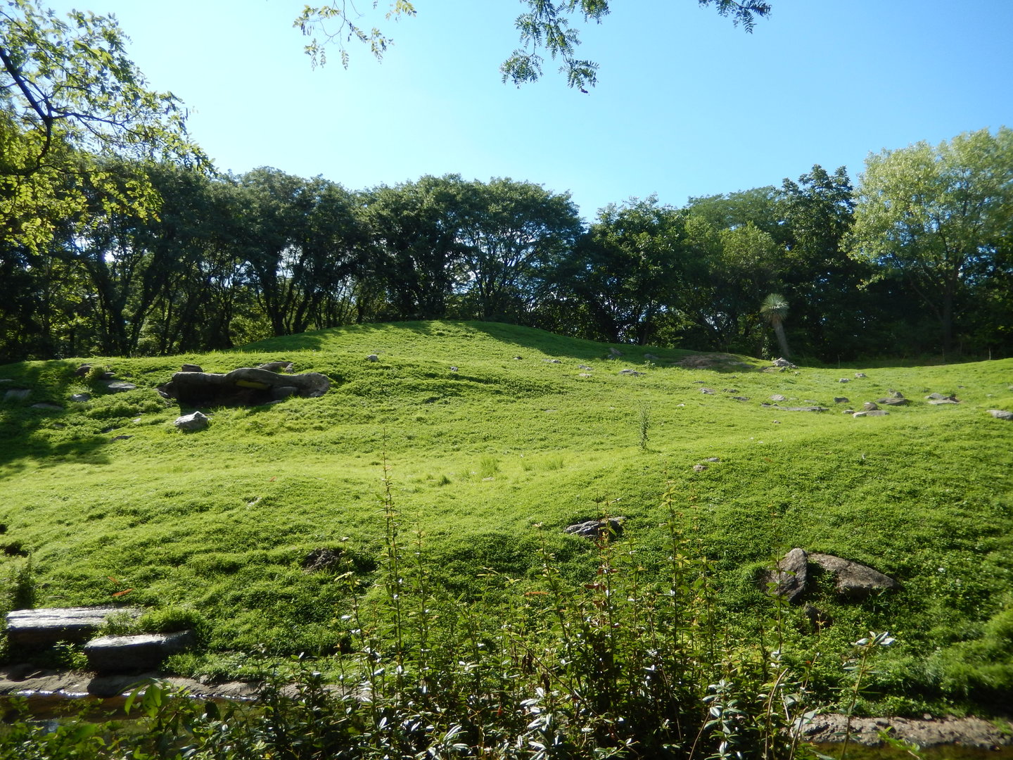 8/12/2022 - Gelada Reserve