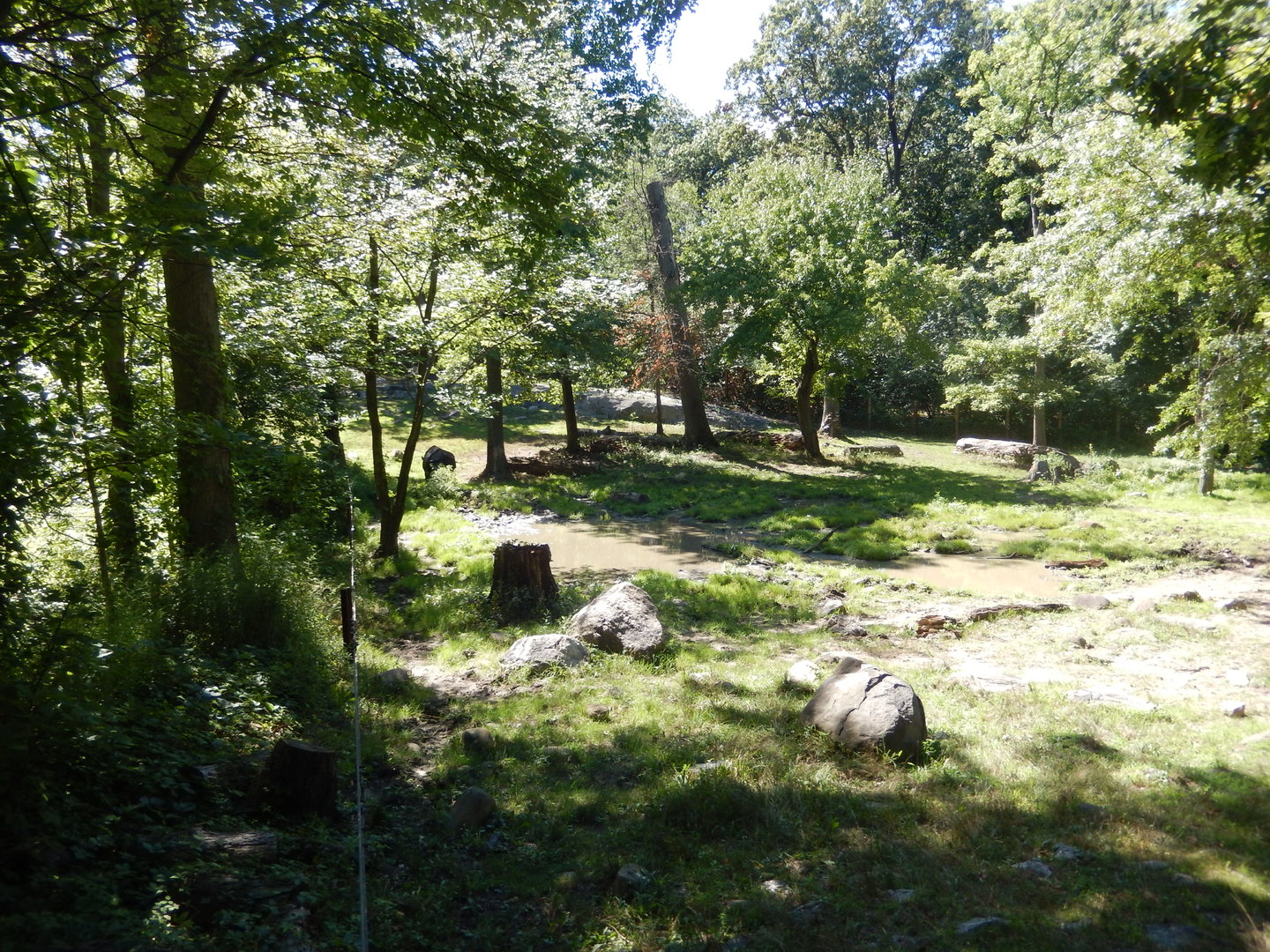8/12/2022 - Indian Rhino Habitat (Left Half)