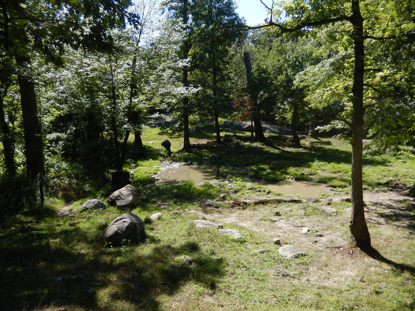 8/12/2022 - Indian Rhino Habitat (Right Half)