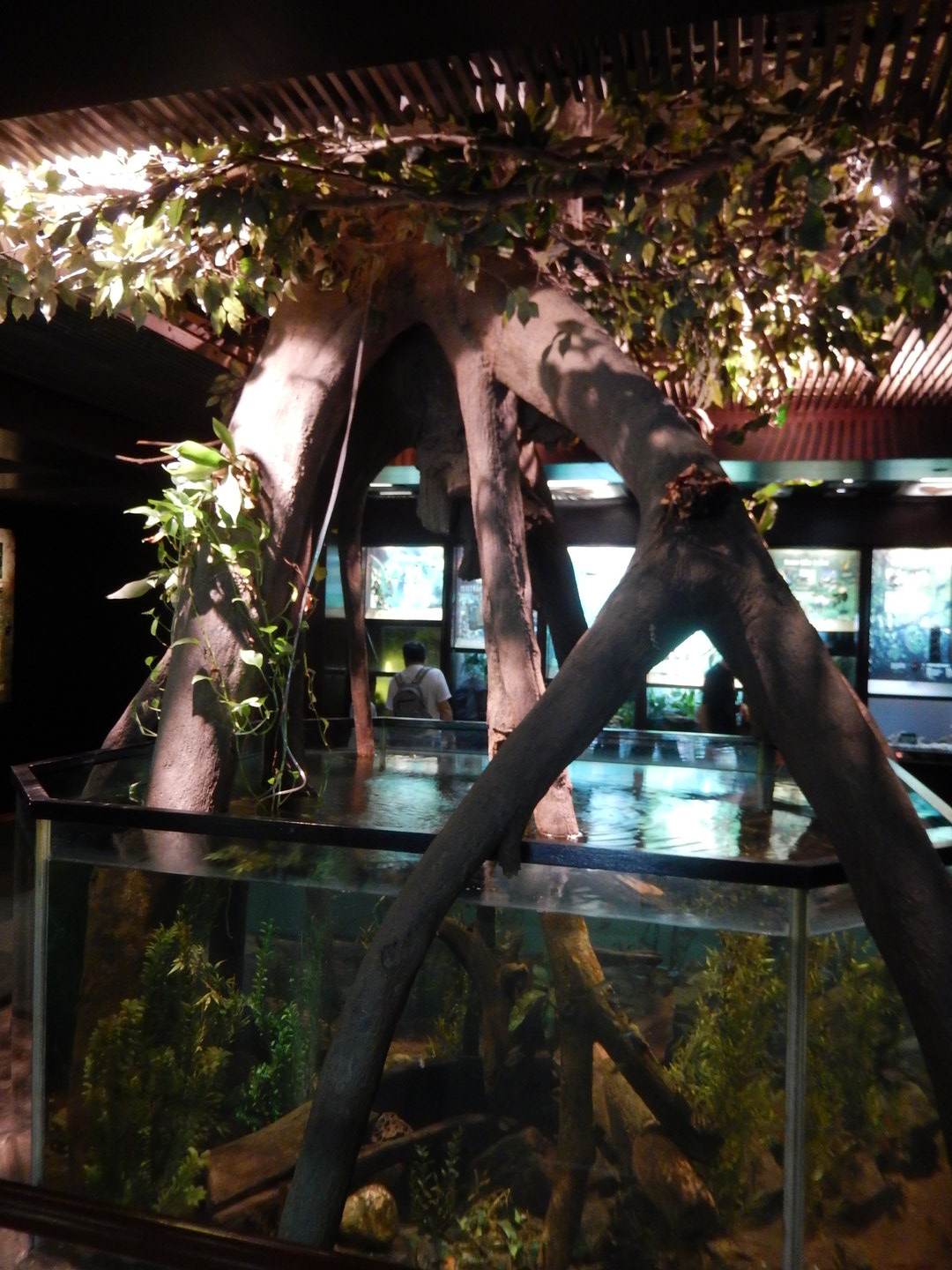 8/12/2022 - Living Treasures