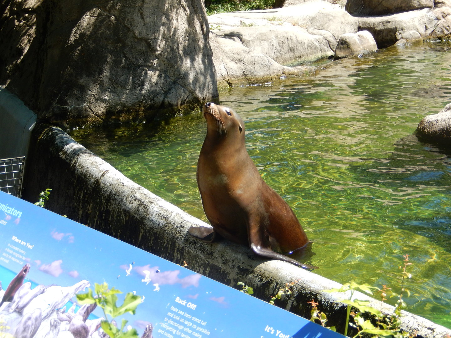 8/12/2022 - Lunchtime?