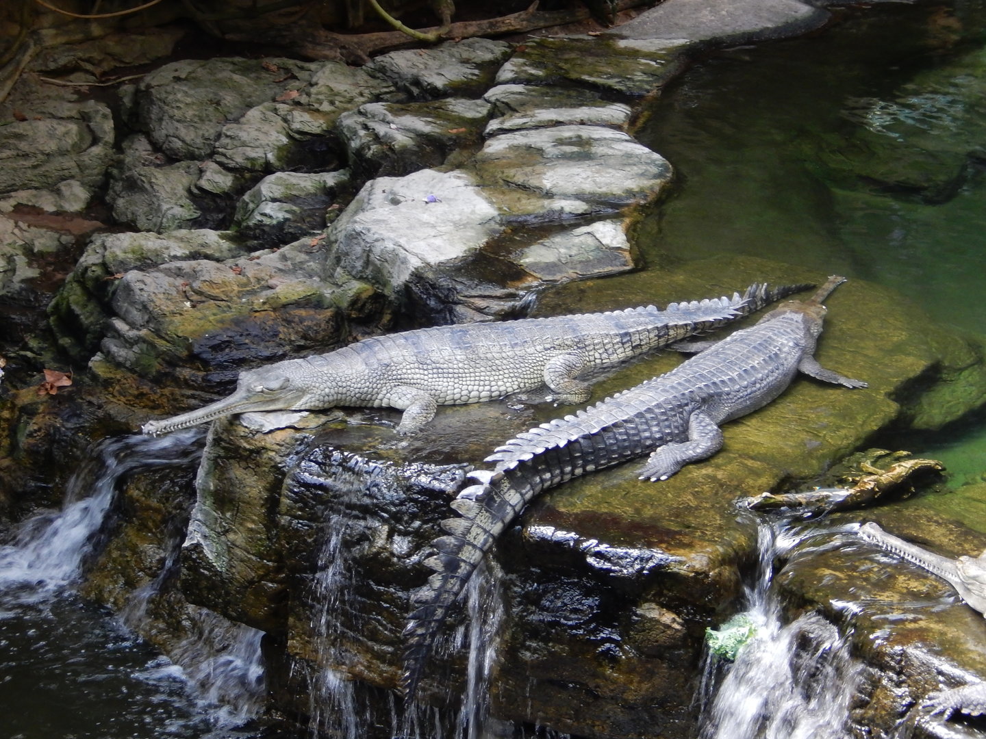 8/12/2022 - Real or Fake?