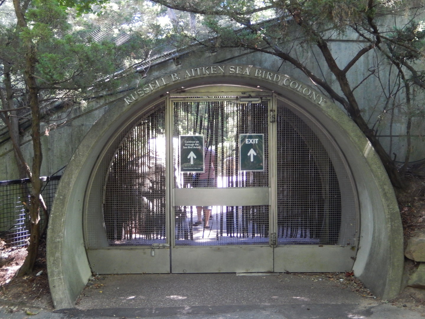8/12/2022 - Seabird Aviary Entry Gate