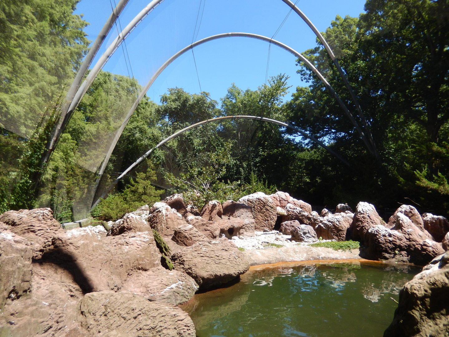 8/12/2022 - Seabird Aviary - General View