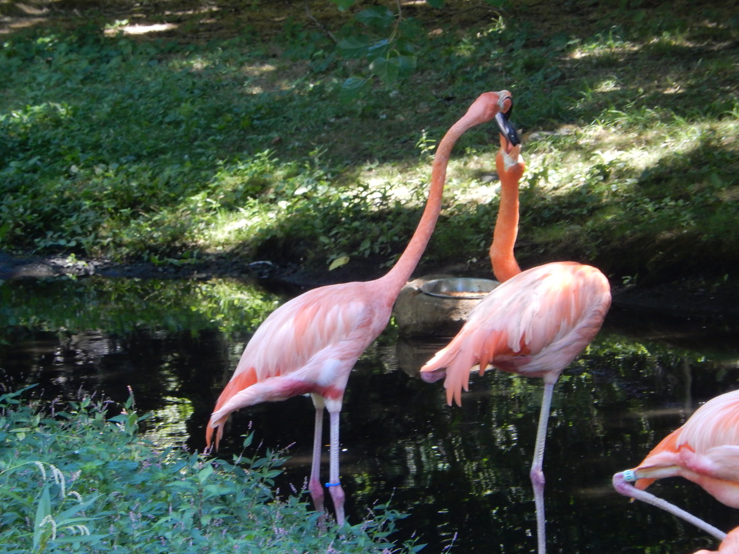 8/12/2022 - Squabbling