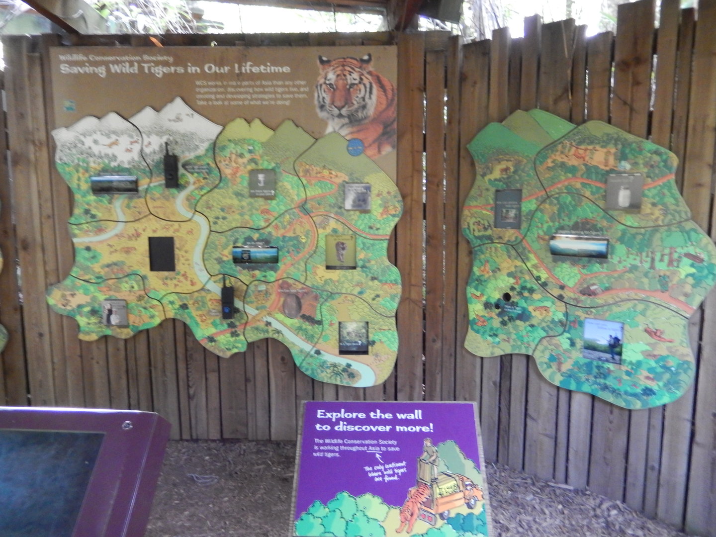 8/12/2022 - Tiger Mountain Conservation Wall