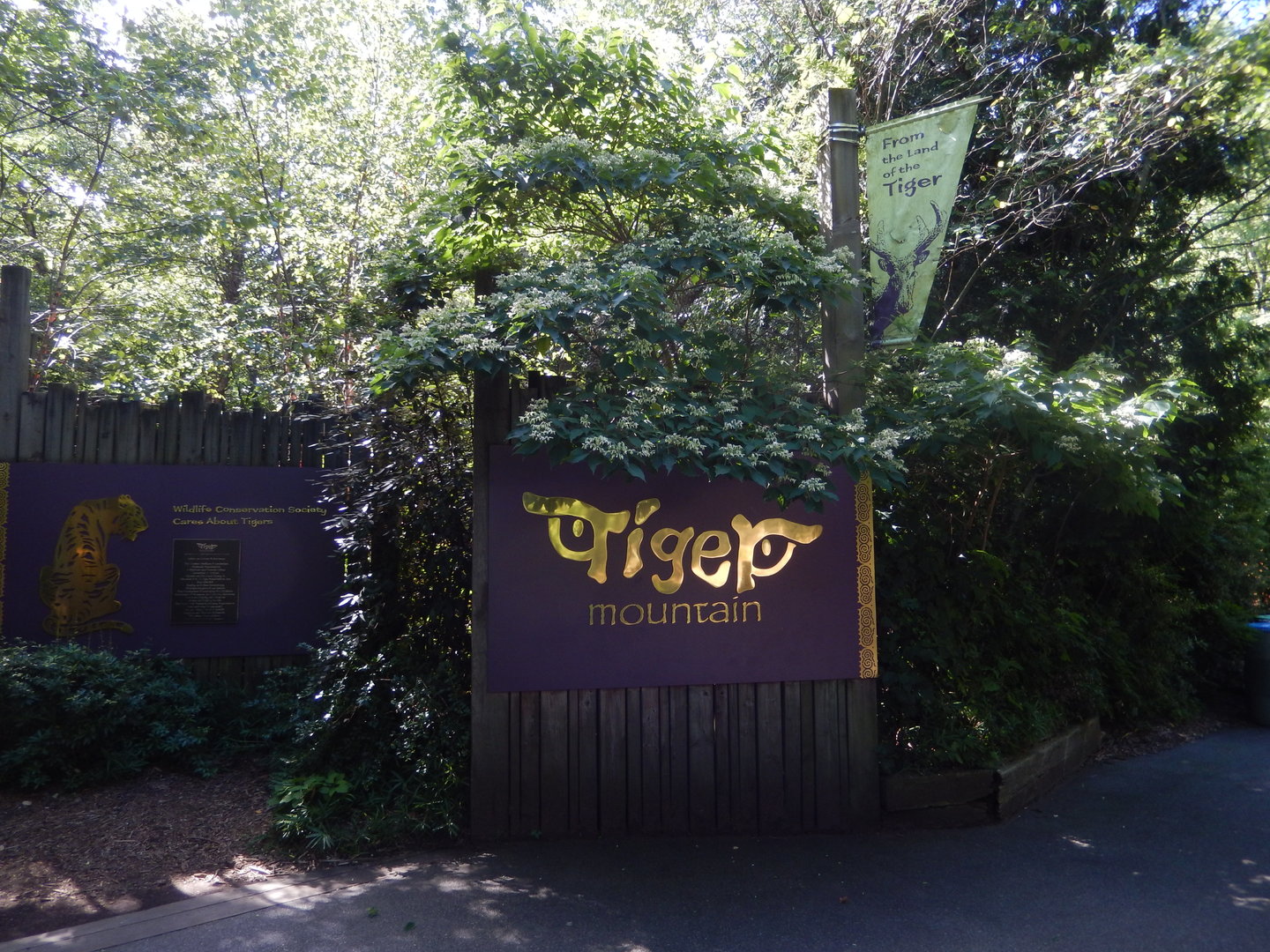 8/12/2022 - Tiger Mountain Entry Sign