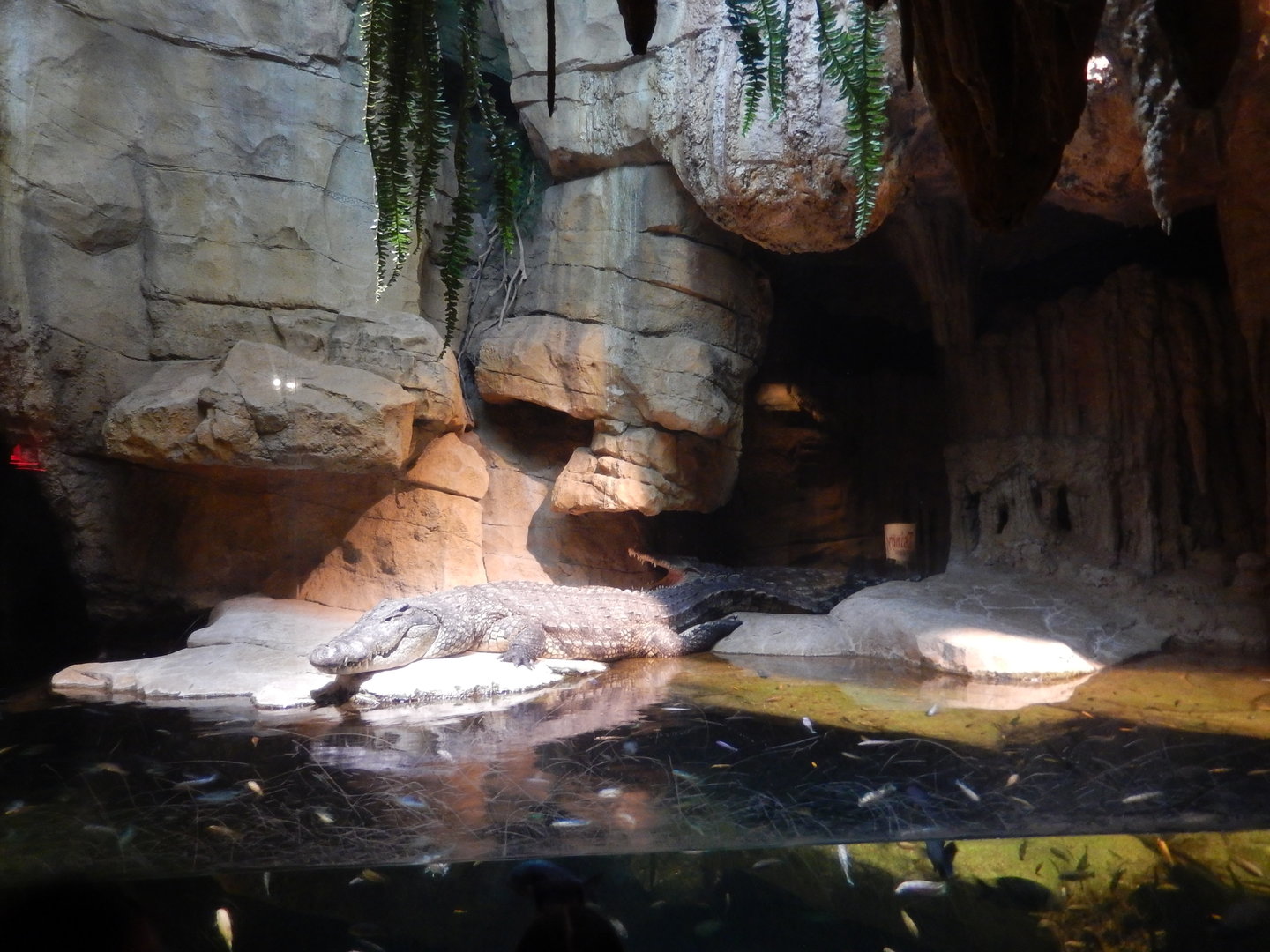 8/12/2022 - Tsingy Caves Exhibit