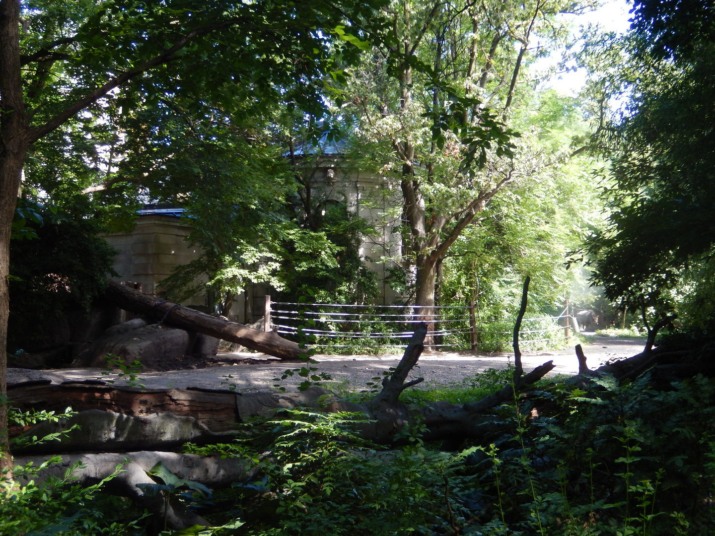 8/12/2022 - White Rhino Habitat - Long View
