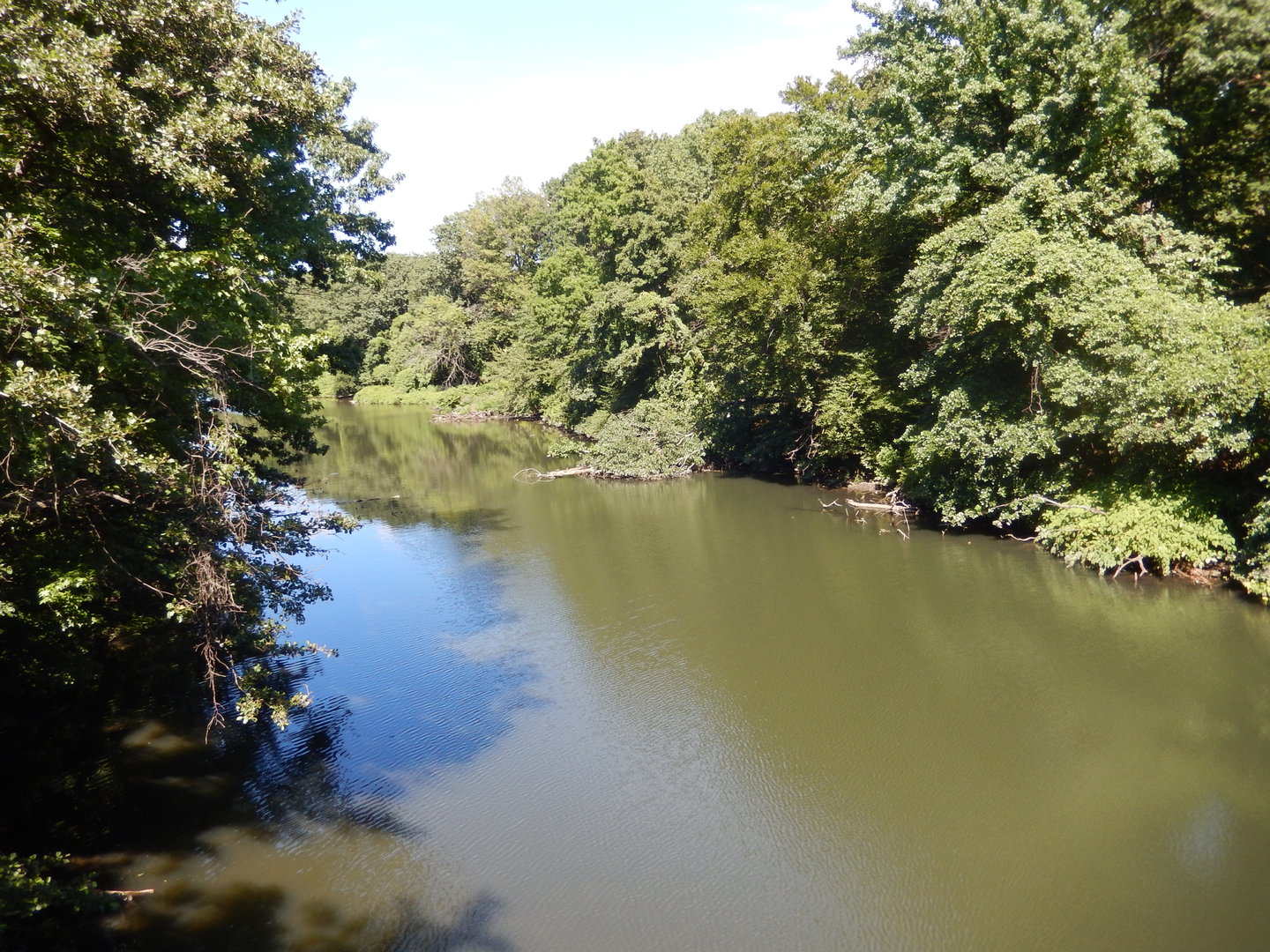 8/12/2022 - Wild Asia Monorail - Bronx River View