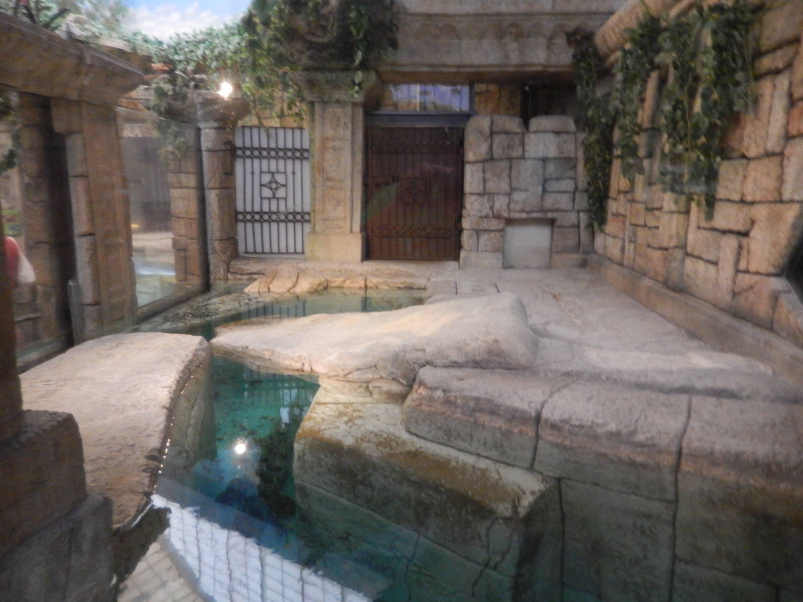 8/13/2015 - Golden Crocodile Exhibit