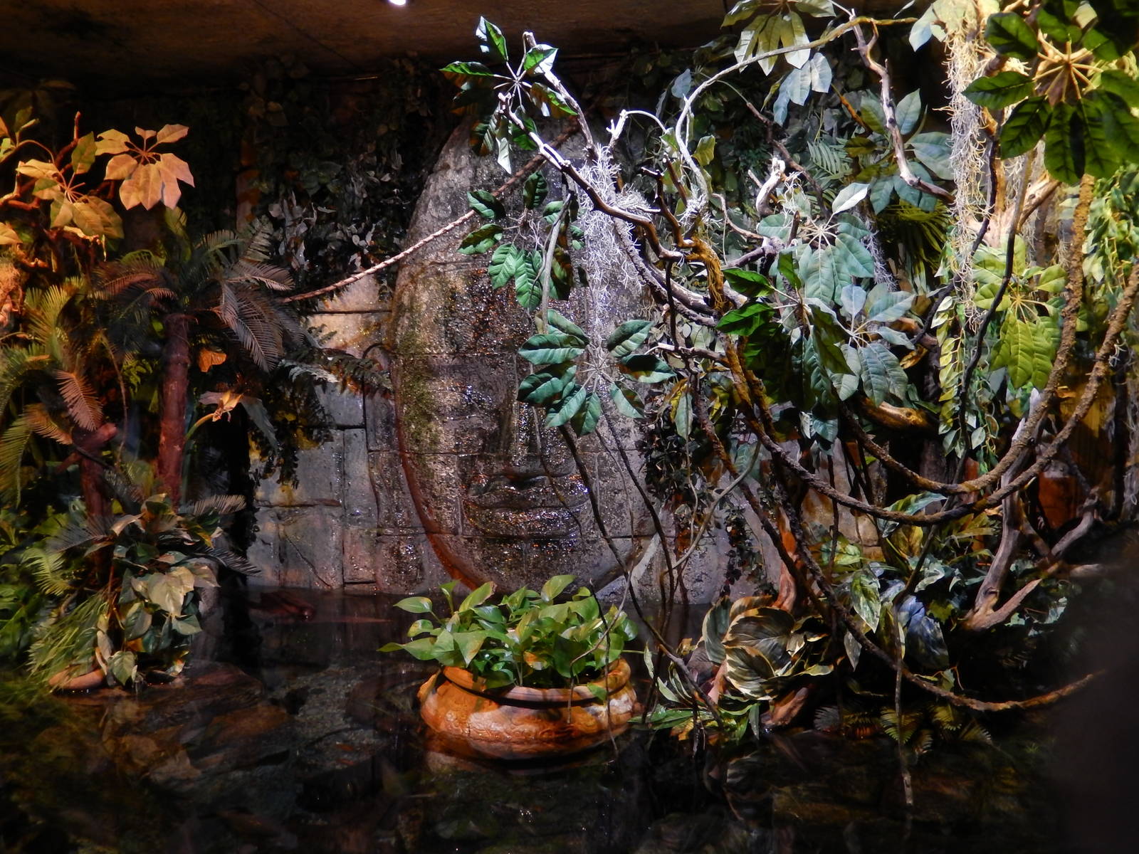 8/13/2015 - Piranha Tank (Above Water View)