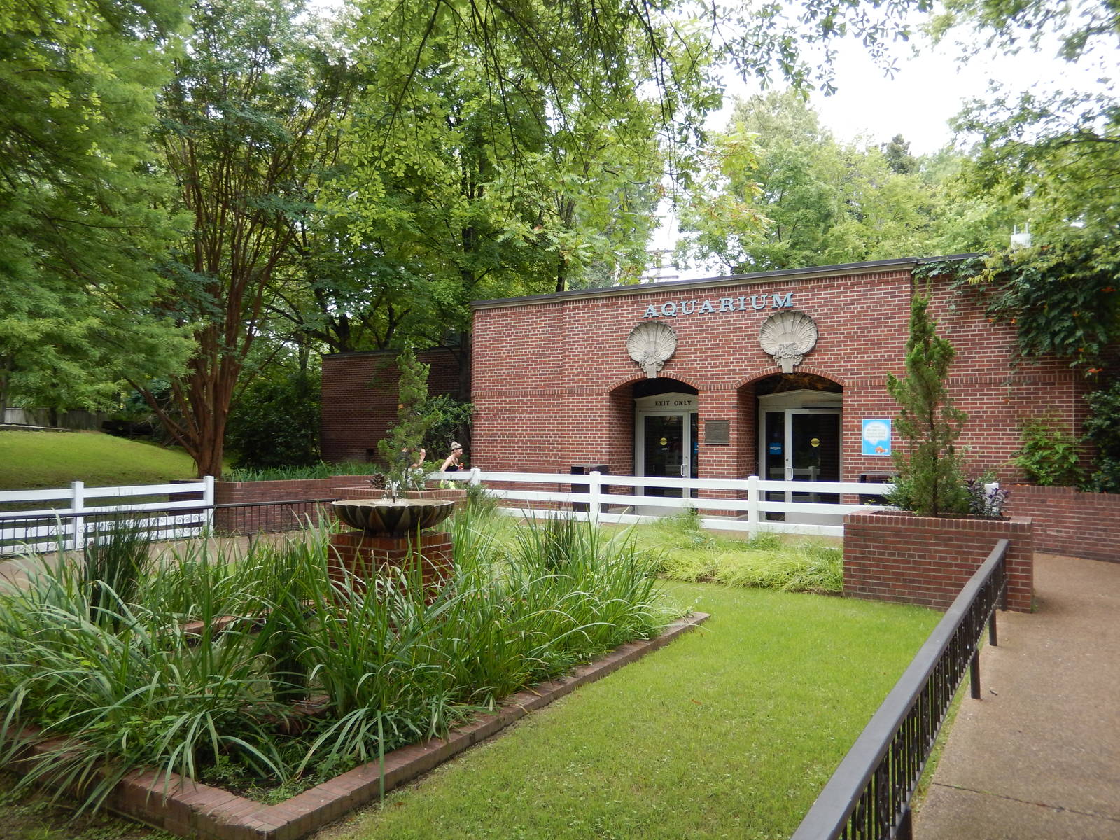 8/14/2016 - Aquarium Entry Area