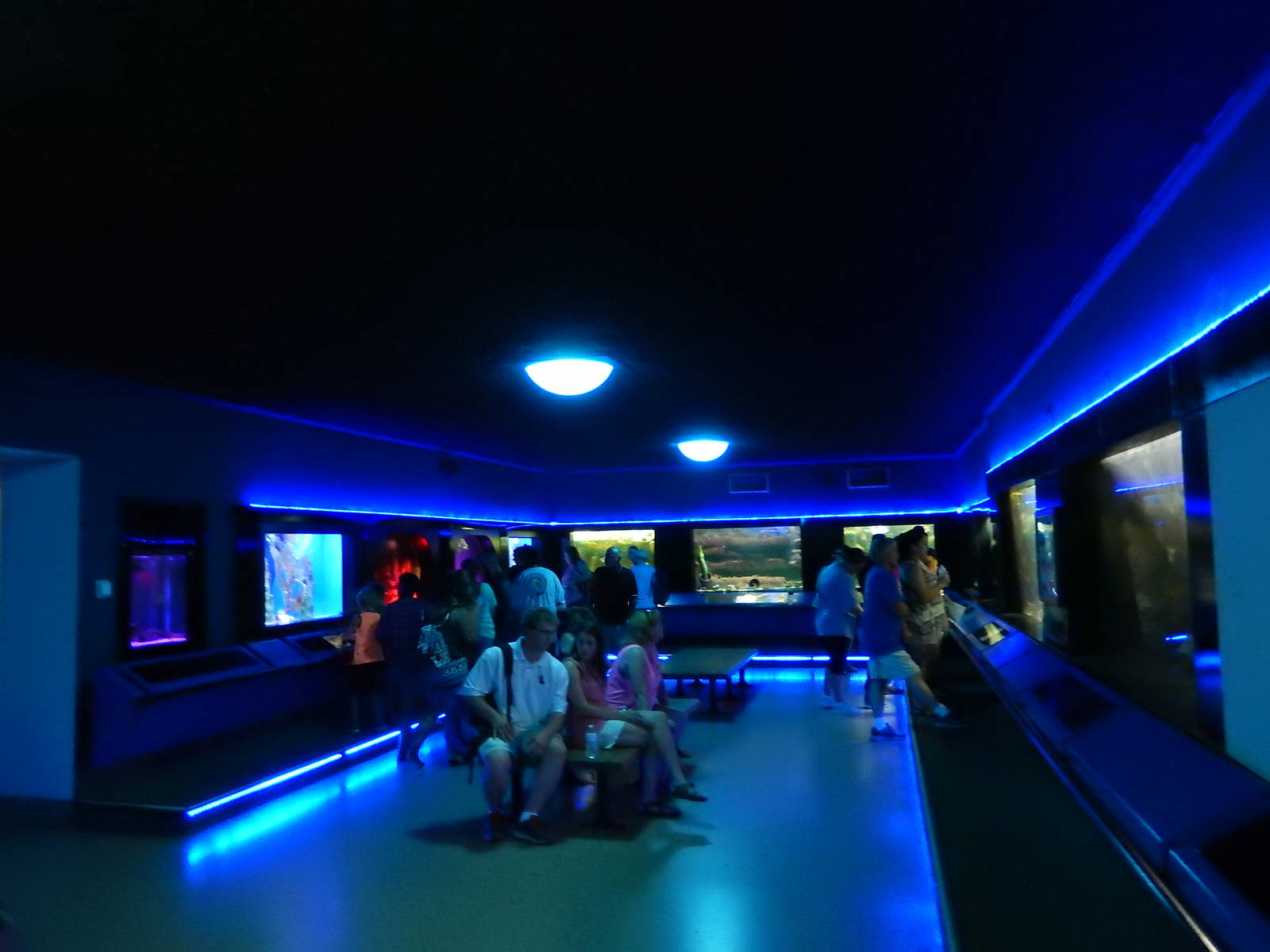 8/14/2016 - Aquarium (Left Half)