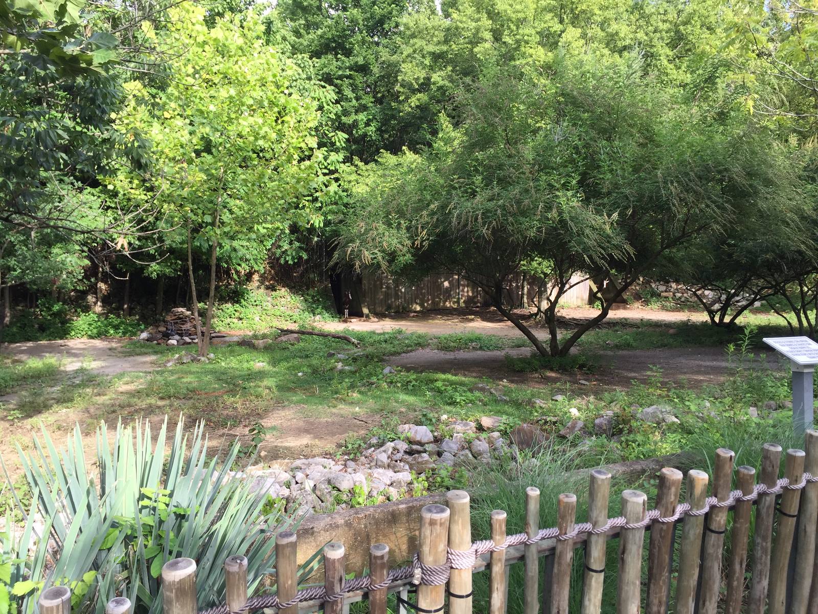 8/14/2016 - Bontebok Exhibit