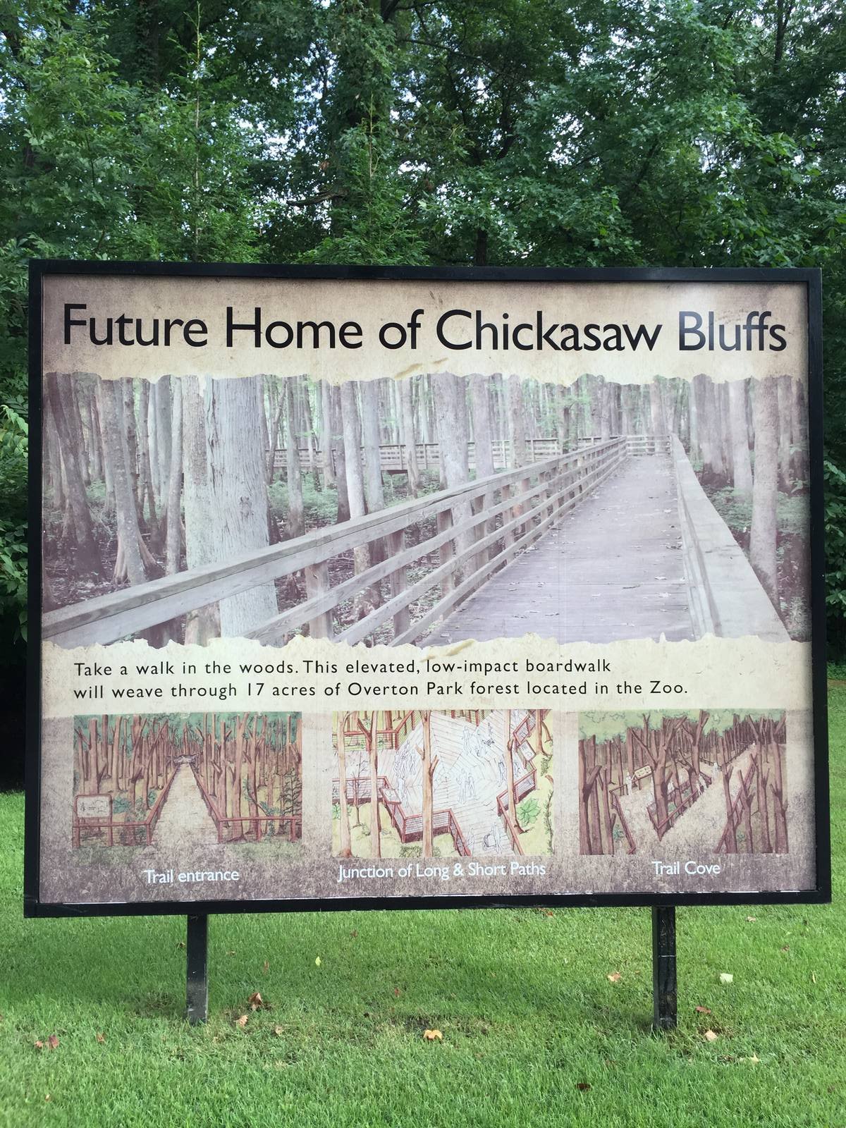 8/14/2016 - Chickasaw Bluffs Info Sign
