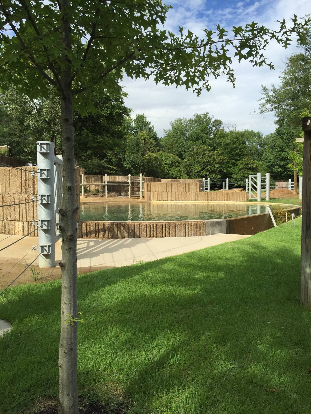 8/14/2016 - Elephant Pool