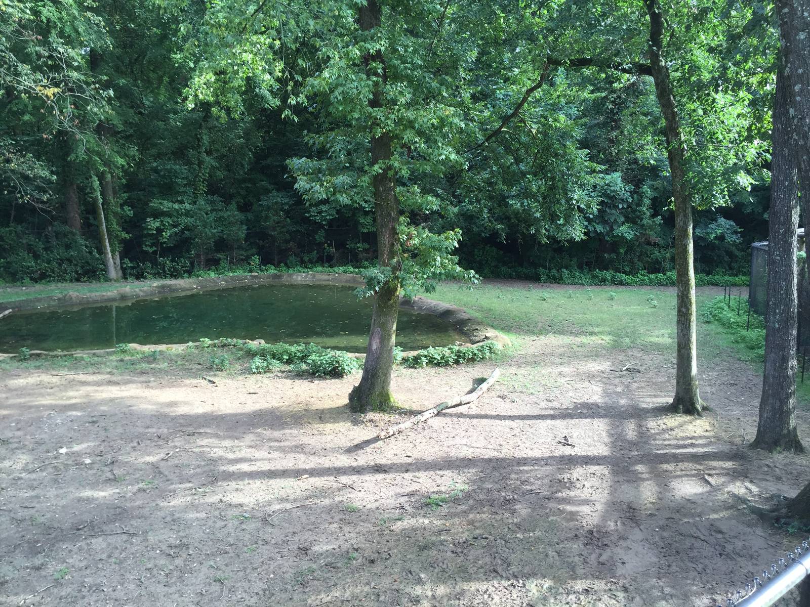 8/14/2016 - Elk Habitat