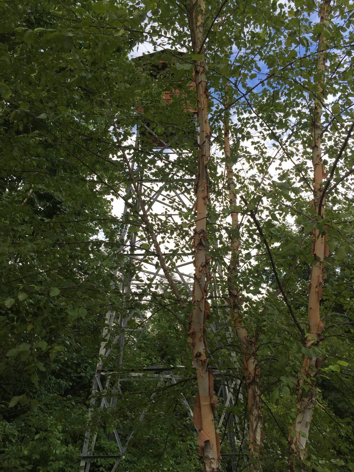 8/14/2016 - Fire Lookout Tower Replica
