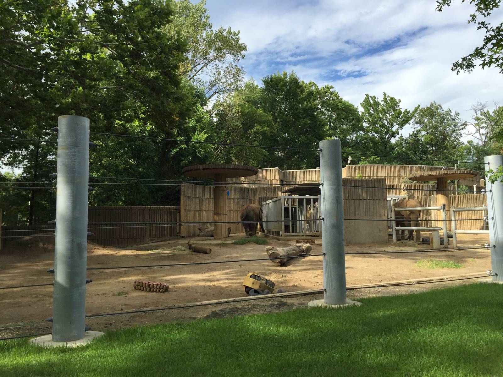 8/14/2016 - First African Elephant Paddock