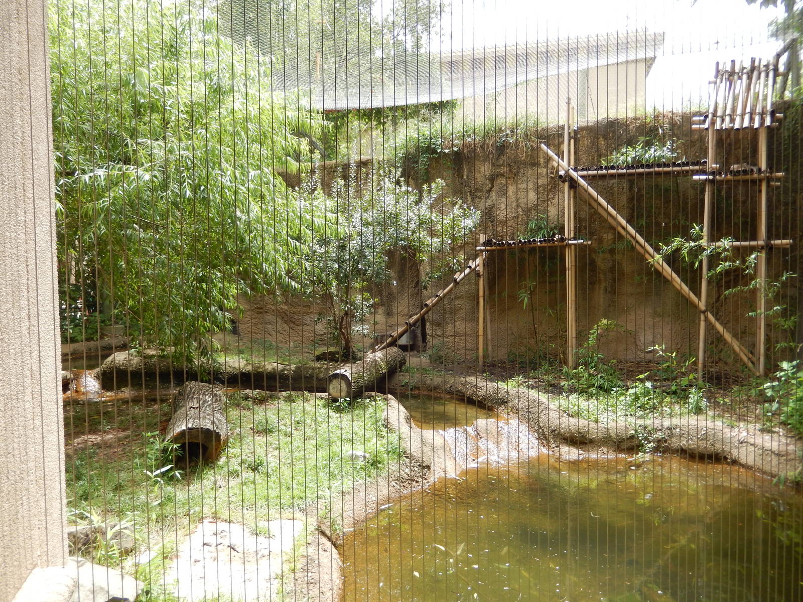 8/14/2016 - Fishing Cat Habitat